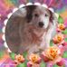Anna Damiani - Facebook