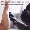 Anna De Carlo - @annadeca_ - TikTok