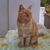 Anna Decarlo - Facebook