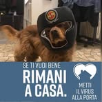 Anna Decina - Facebook