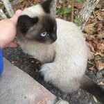 anna_delaney - @anna_delaneys - Instagram