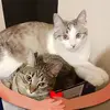 Anna - @anna.dewan - TikTok