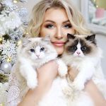 Anna Dille - @ragdollfelisastar - Instagram