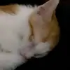 malanna.dingle - @malanna.dingle - TikTok