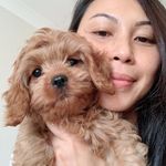 Anna - @annadinh_ - Instagram