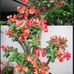 Anna Dinh - Facebook