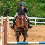 Anna Dinsmore - @annakd_equestrian - Instagram