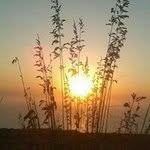 Anna Di Stefano - @anna.distefano.353 - Instagram
