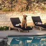 Anna Dowe Price - @the1annaprice - Instagram