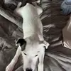 Anna - @anna._.doyle - TikTok