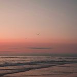 Anna Dreyer - @annasdreyer - Instagram