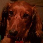 Anna driver - @pearl_1957 - Instagram