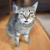Anna Drozd - @anna.drozd62 - TikTok