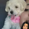 Anna Dubon - @anna.dubon - TikTok