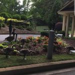 Anna Duckworth Gray - @grayannaduckworth - Instagram