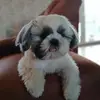 Anna Dudziak - @anna.dudziak2 - TikTok