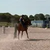 Anna D🪼 - @anna_duggan.12 - TikTok