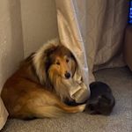 Anna Dunkley - @annamisinski - Instagram