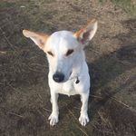 Anna Penelope Dunkley - @penelopepitstop31 - Instagram
