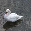 Anna Zydziak - @anna.zydziak - TikTok