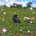 Anna Dziewa - Facebook