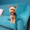 Anna Ebi - @anna.ebi6 - TikTok