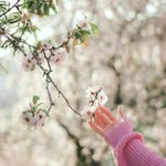 annaebrahim - @annaebrahim7 - Instagram