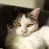 Anna Eccher - @annaeccher1 - TikTok
