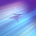 Anna Eckel - Facebook