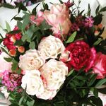 Anna Eckl - @anna050143 - Instagram