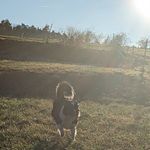 Anna Eckstein - @eckstein4052 - Instagram