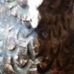 Daniela Anna Eckstein - Facebook