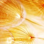 Anna Eder - @anna.eder.779 - Instagram