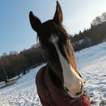 edler.anna@icloud.com - @edler.annaicloud.com5 - Instagram