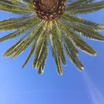 Anna ❤️🌴☀️🍾✈️ - @anna.edlund - Instagram