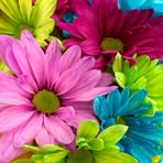 Anna Efremova - Facebook