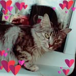 Anna Efremova - Facebook