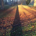 Anna Egan - @annaeganegan - Instagram
