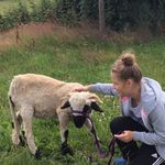 Anna Eggers - @anna_eggers2801 - Instagram