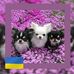Ania Ehlert - Facebook
