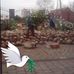 Anna Ehlert - Facebook