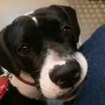 Anna Ehrenberg - @annas_und_ellas_welt - Instagram