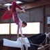 Anna Ehrenberg - Facebook