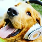 Anna Eichelberger - @olaf20034 - Instagram