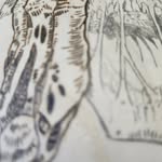 Anna Eichelberger - @srwshtheras - Instagram