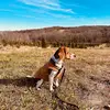 Anna Einsiedel - @anna.einsiedel1 - TikTok