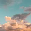 Anna Eisenstecken - @_anna_eisenstecken_ - TikTok