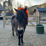 Anna Eisinger - @anna2254082 - Instagram