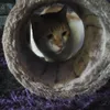 sannaekdahl - @sannaekdahl - TikTok