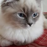 Anna Ekman - @annaekman81 - Instagram